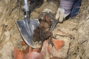 root intrusion